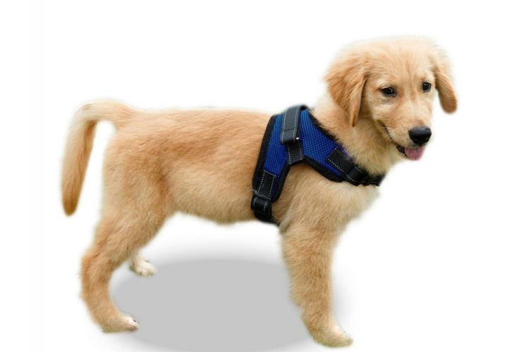 Copatchy No Pull Reflective Adjustable Dog Harness With Handle