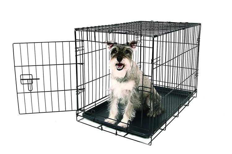 Carlson Pet merchandise Carlson Compact Single Door Metal Dog Crate 