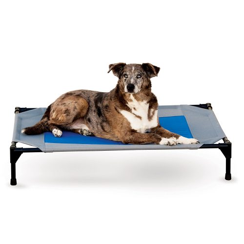 K&H Pet Products Coolin' Pet Cot Cooling Elevated Pet Bed