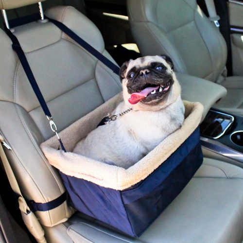 Deluxe Dog Booster seat by Devoted pooch Metal Frame Construction - Clip-on Safety Leash - Zipper Storage Pocket – excellent for little and Medium Pets up to twenty lbs 