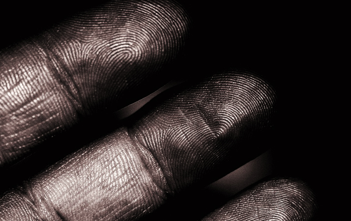 Fingerprint Scanners