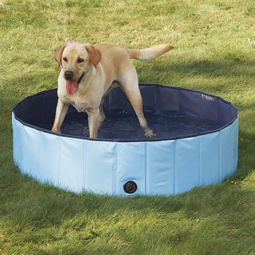 Dog Bathtub, PYRUS Collapsible Pet Bath Pools Inflatable Dog Bathtub Tub for Dogs or Cats - dog pools 