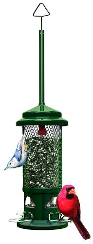 Squirrel Buster Standard 5"x5"x21.5" (w/hanger) Wild Bird Feeder with 4 Metal Perches, 1.3lb Seed Capacity