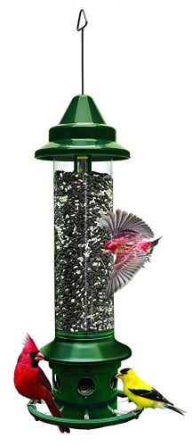 Squirrel Buster Plus 6"x6"x28" (w/hanger) Wild Bird Feeder with Cardinal Ring and 6 Feeding Ports, 5.1lb Seed Capacity