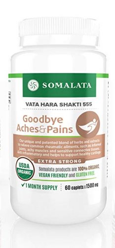 Goodbye Aches & Pains - Joint and Muscle Anti-inflammatory Supplement - Joint Supplements