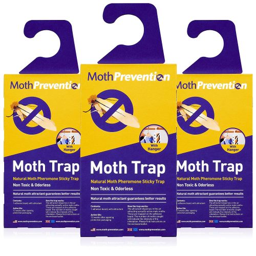 POWERFUL MOTH TRAPS FOR CLOTHES MOTHS