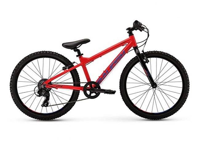 New 2017 Raleigh Rowdy 24 Complete Mountain Bike