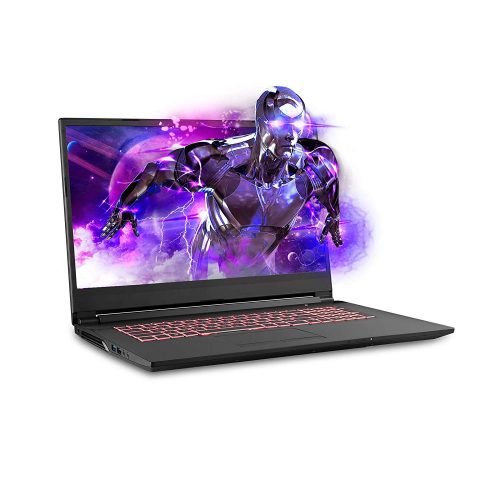 Sager NP7876 17.3 Inches Thin Bezel FHD 144Hz Gaming Laptop, Intel Core i7-9750H, NVIDIA RTX 2060 6GB DDR6, 16GB RAM, 500GB NVMe SSD, Windows 10 Home