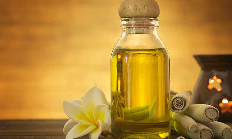 Top 10 Best Massage Oils In 2022 The Assistance In Your Relaxation