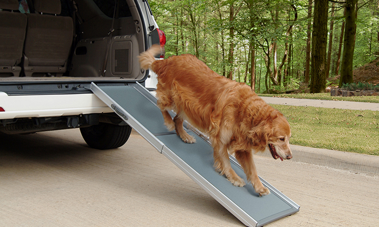 Dog Ramps For Car