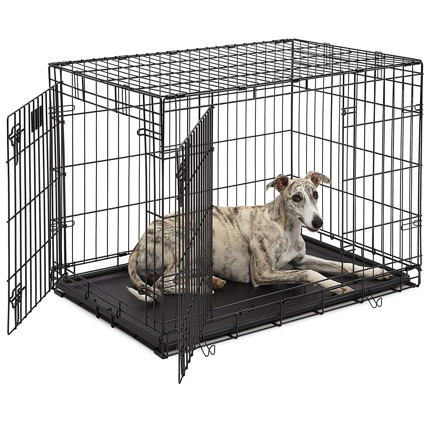 Dog Crate | MidWest Life Stages 36" Double Door Folding Metal Dog Crate | Divider Panel, Floor Protecting Feet, Leak-Proof Dog Tray | 36L x 24W x 27H Inches, Intermediate Dog Breed